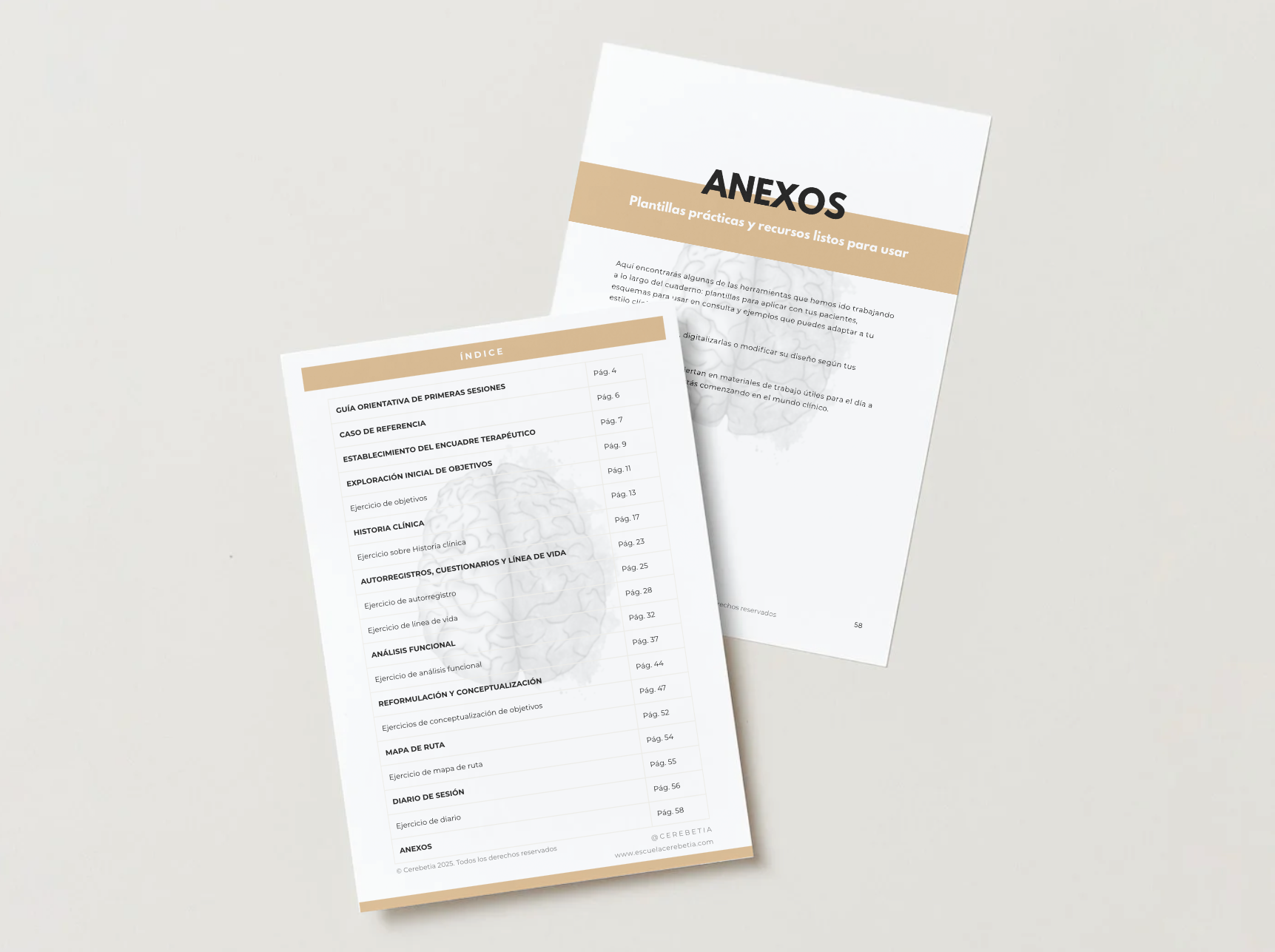 Índice y anexos